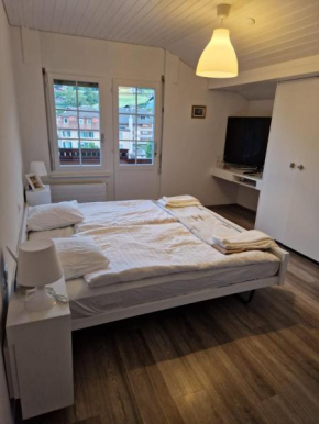 Hotel Chalet Bellerive